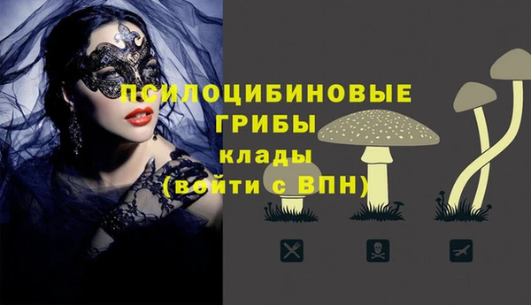 мяу мяу мука Арсеньев