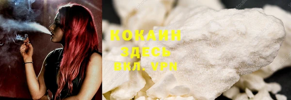 стафф Аркадак