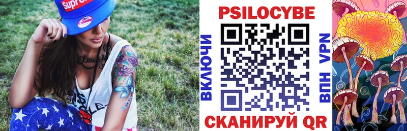 цена   Кадников  MEGA как войти  Галлюциногенные грибы мухоморы 