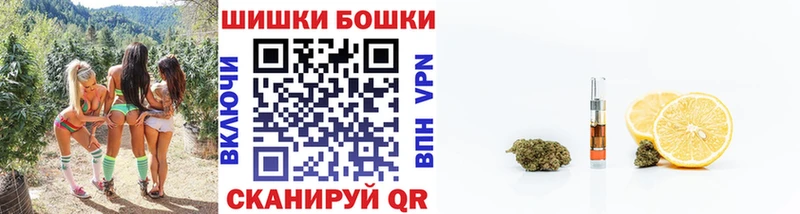 где купить наркоту  Кадников  omg ТОР  Бошки Шишки индика 